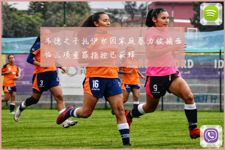 韦德之子扎伊尔因家庭暴力被捕面临三项重罪指控已获释